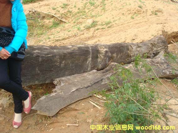 �ӓƽ�z�ľ��Ԕ����B