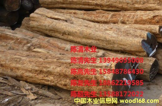 ��ľ(��̴)��Ԕ��(x��)��B