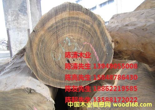 �G̴��Ԕ��(x��)��B