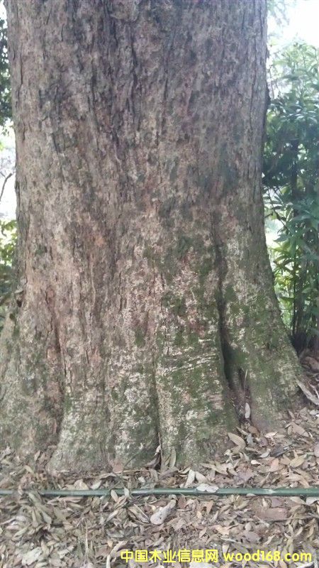 ���ľ��Ԕ����B