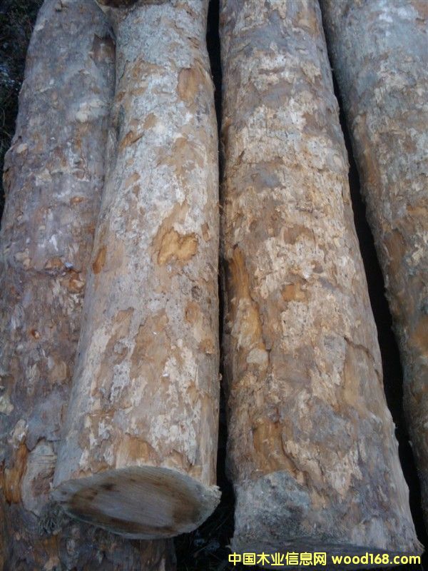 ��z�ľ��Ԕ����B