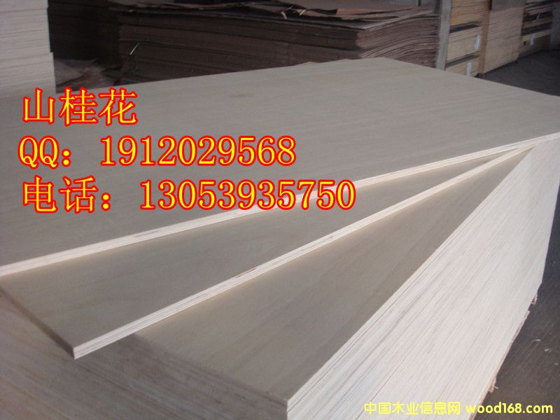 ɽ������z�ϰ��Ԕ��(x��)��B