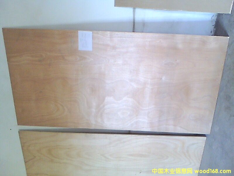 ��ľ����Ԕ����B