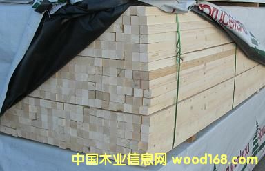 �M����ľ��Ԕ����B