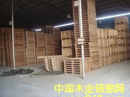 ľ�е�Ԕ����B