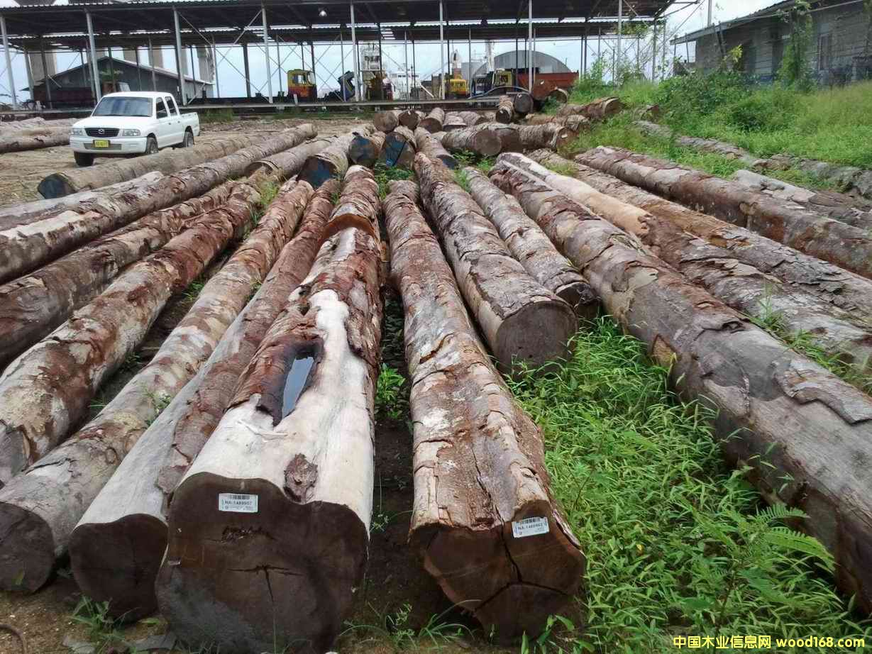 �����u��/������ľ��Ԕ����B