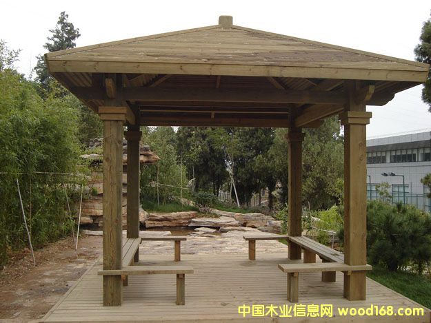 ���v����ľ��Ԕ����B