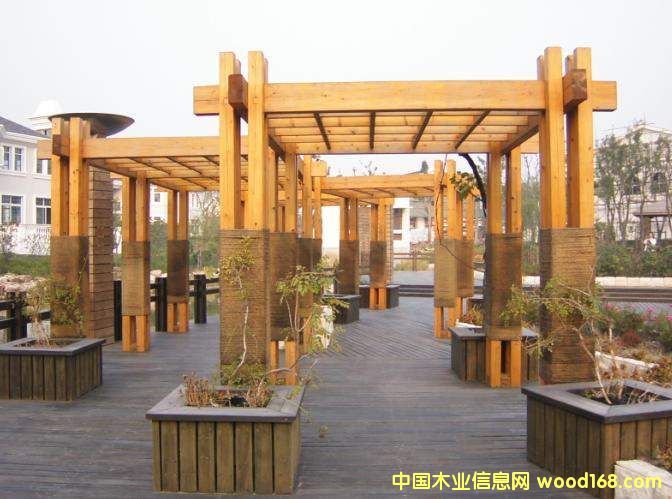 ����ľ��Ԕ����B