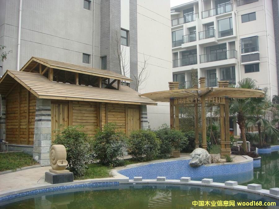 ��ľ��Ԕ����B