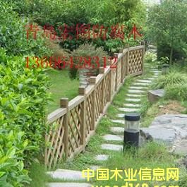 �c���鿴ľ�řڷŴ�DƬ