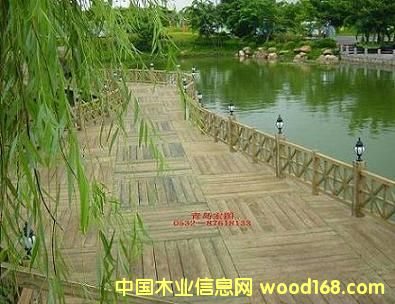 �c���鿴����ľ�����Ŵ�DƬ