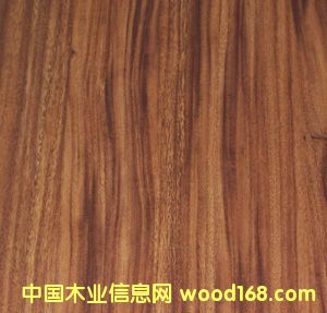 �c���鿴���}��Ŵ�DƬ