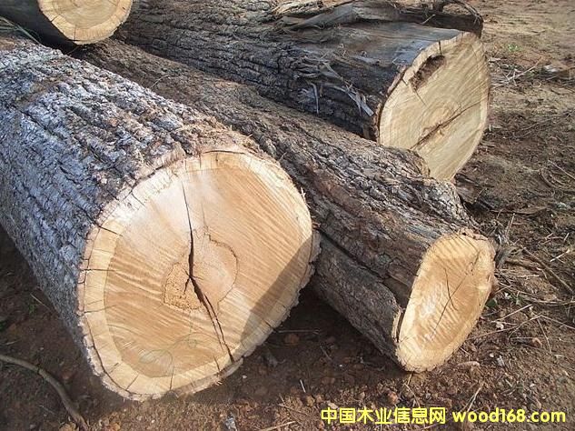 �M�������mݗ����/�ڂ���/ˮɼ/���~��ԭľ�M�ڈ��P