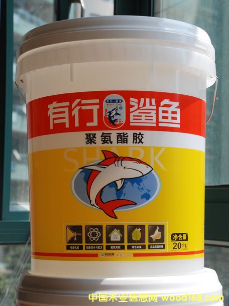 ��ľƴ���z��Ԕ����B