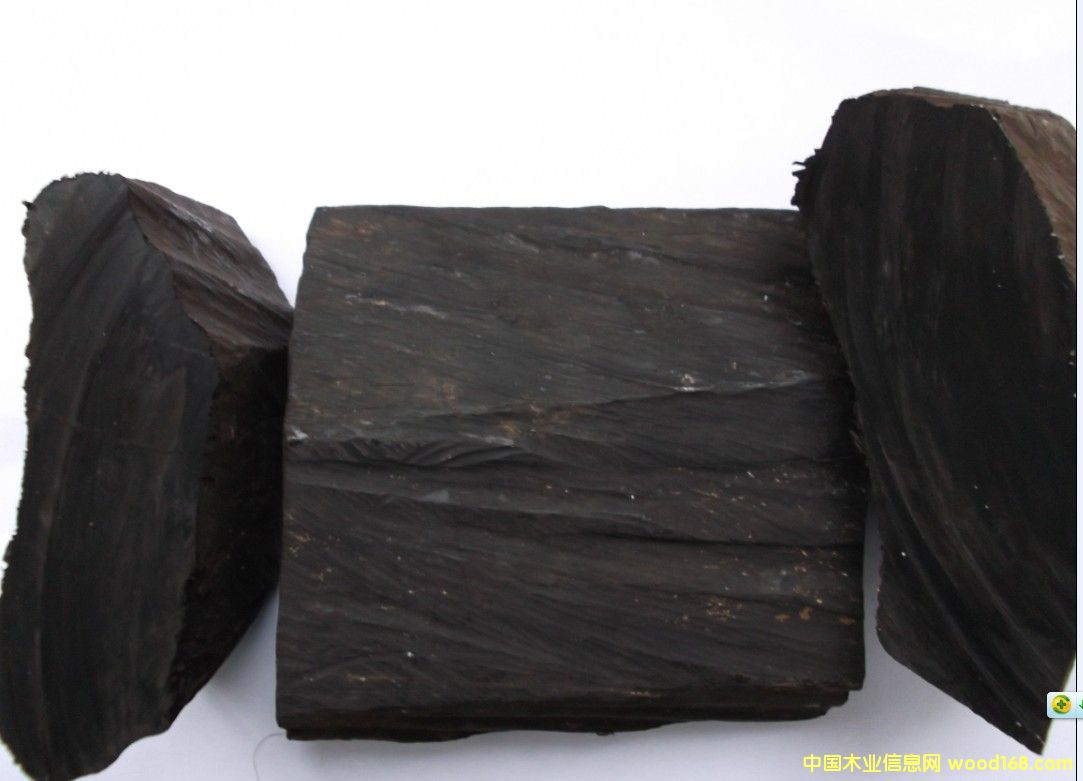 ����ľ��Ԕ����B