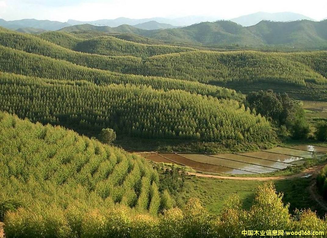 �������|���ԭľ��Ԕ����B