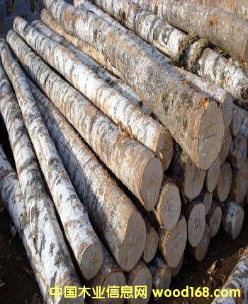 ��ľԭľ��Ԕ��(x��)��B