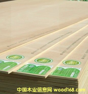 ��ͯ�������z�ϰ��Ԕ����B