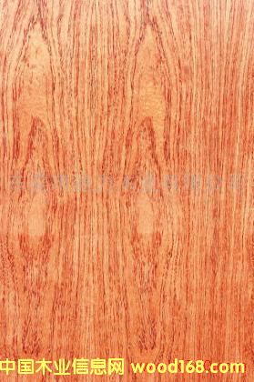 ����ɽ�y��Ԕ����B