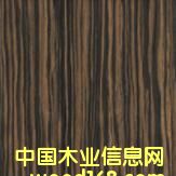 ��̴��Ԕ����B