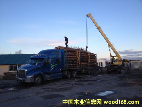 �����ɰ�ĵ�Ԕ��(x��)��B