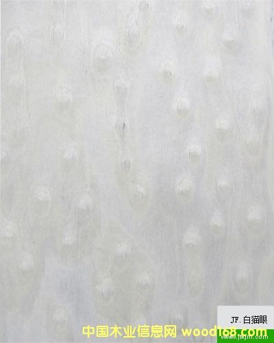 ��؈�۵�Ԕ����B