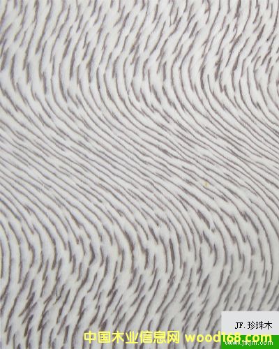 ����ľ��Ԕ����B