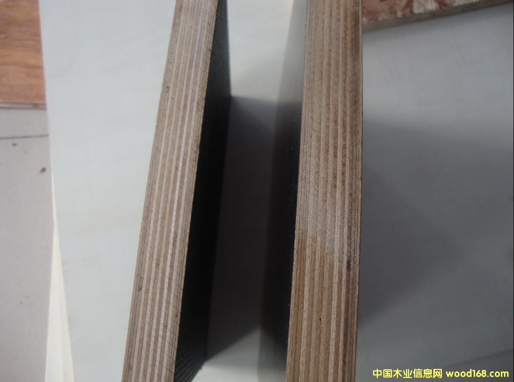 �c���鿴��������ģ��Ŵ�DƬ