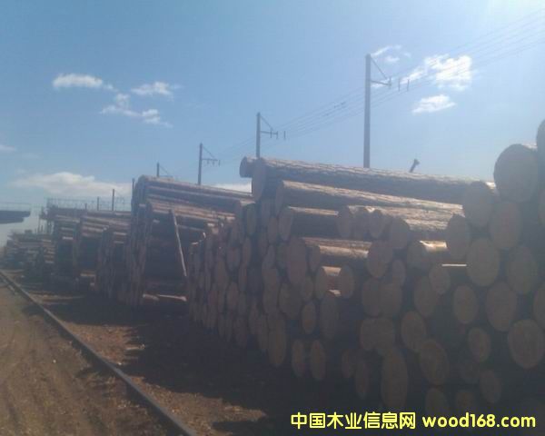 ���_˹�����ɵ�Ԕ����B