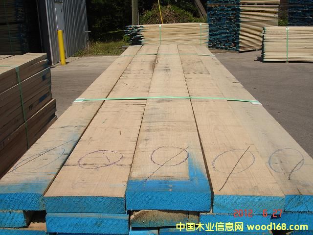 �t��ľ��Ԕ����B