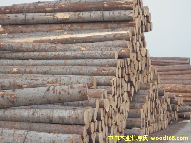 ���ɵ�Ԕ����B