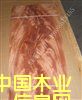 �һ�о��辵�Ԕ����B