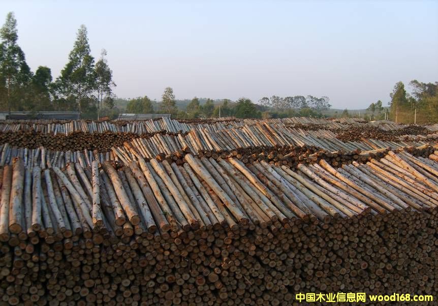 ���ԭľ��Ԕ��(x��)��B