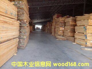 ݗ���ɟo(w��)��(ji��)��ɰ�ĵ�Ԕ��(x��)��B