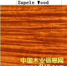 �_���Rľ��Ԕ����B