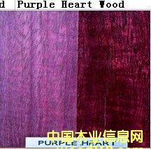 ����ľ��Ԕ����B