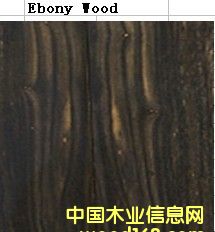 ��ľ����̴)��Ԕ����B