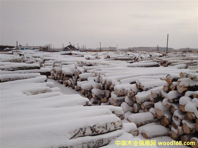 ���_˹��ľ��ĵ�Ԕ����B