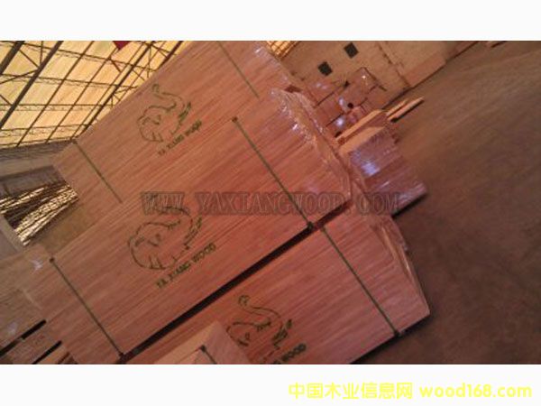 �M��̩�����zľָ�Ӱ��Ԕ����B