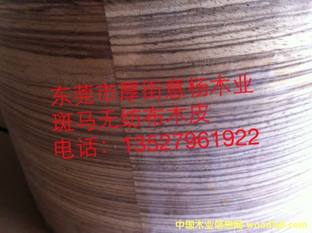 ���R�o����ľƤ��Ԕ��(x��)��B