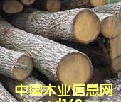 ���м�(j��)����ԭľ