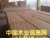 �W���������޼t���ң�