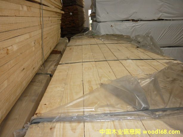 �����mݗ����