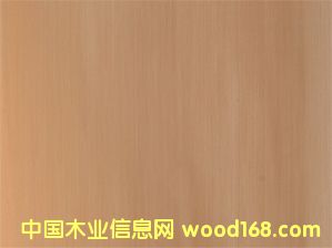 E.V.�׺���#512PQ��Ԕ����B