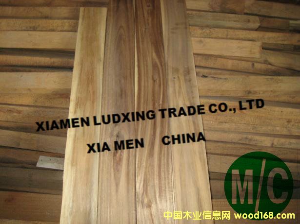 ��˼ľ��ģ���˼ľ�ذ�������acacia5