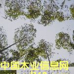 ���B���Ԕ����B