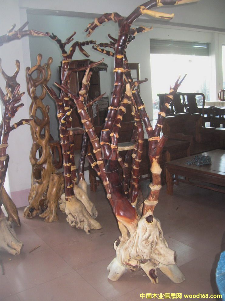 ԭ���B��ñ��-����֦����Ԕ����B