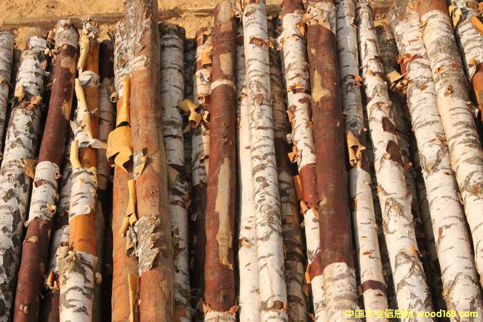 ��ľԭľ��Ԕ����B