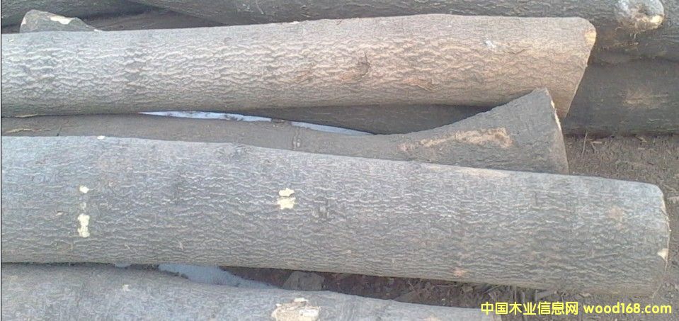 ��ľ��Ԕ����B