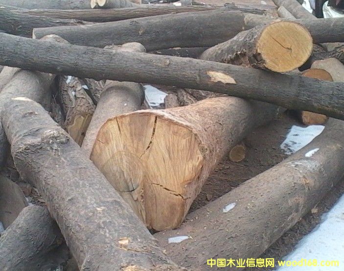 �����Ԕ����B